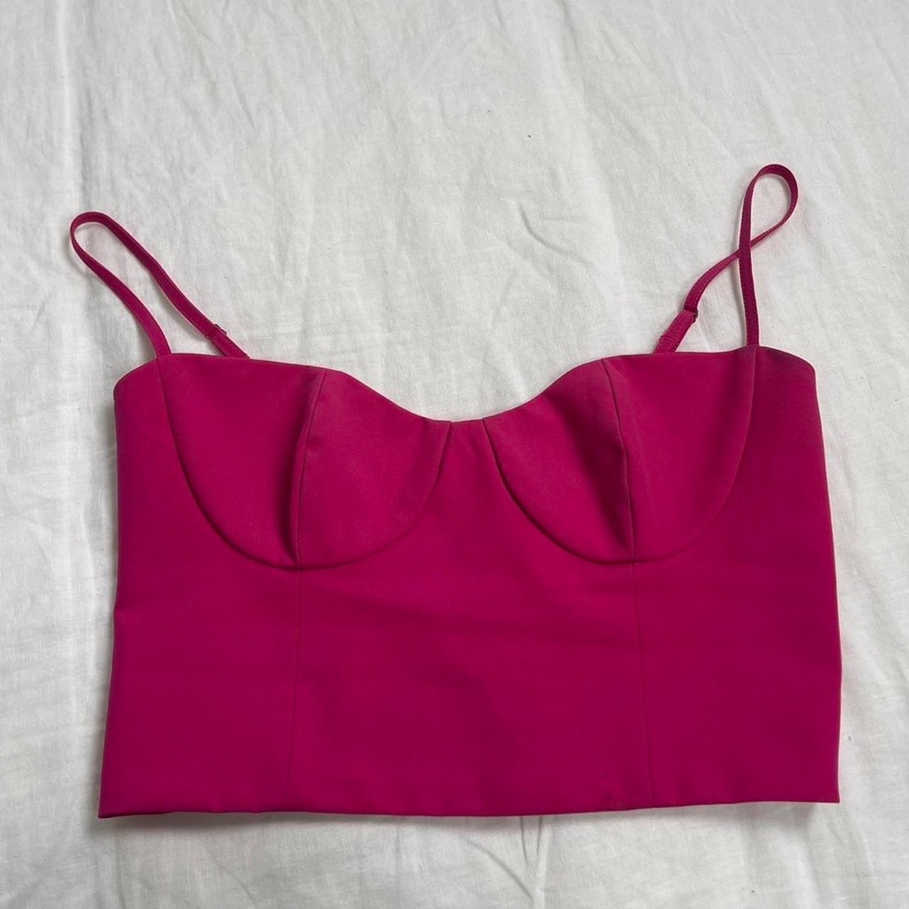 Hot Pink Babaton Aritzia Corset